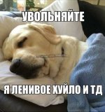 efa8f7d2a1dad52a3ad1acc4cd4e9516.jpg