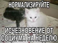 e6d29cc18b72cd39b1ab9d822320c090.jpg